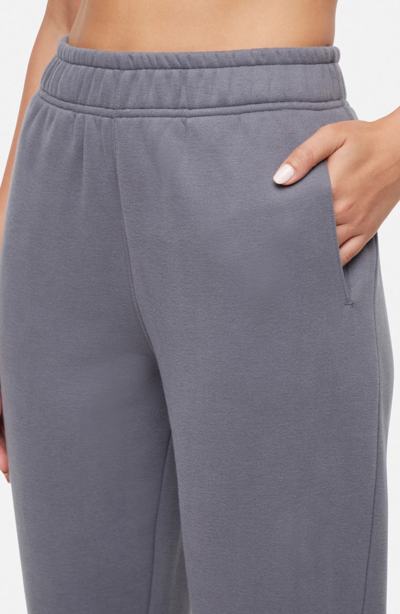 BALANCE COLLECTION Wren Fleece Hoodie & Joggers Set, Alternate, color, Poppy Seed