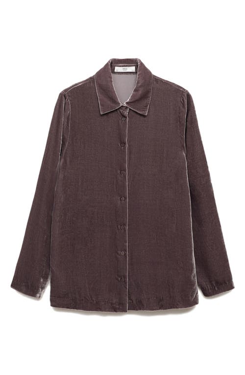 Mango Velvet Button-up Shirt In Purple