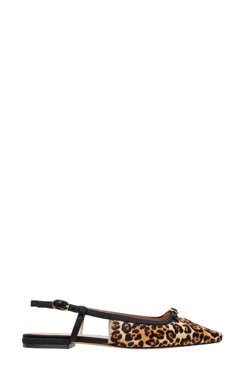 Linea Paolo Cassidy Pointed Toe Slingback Flat