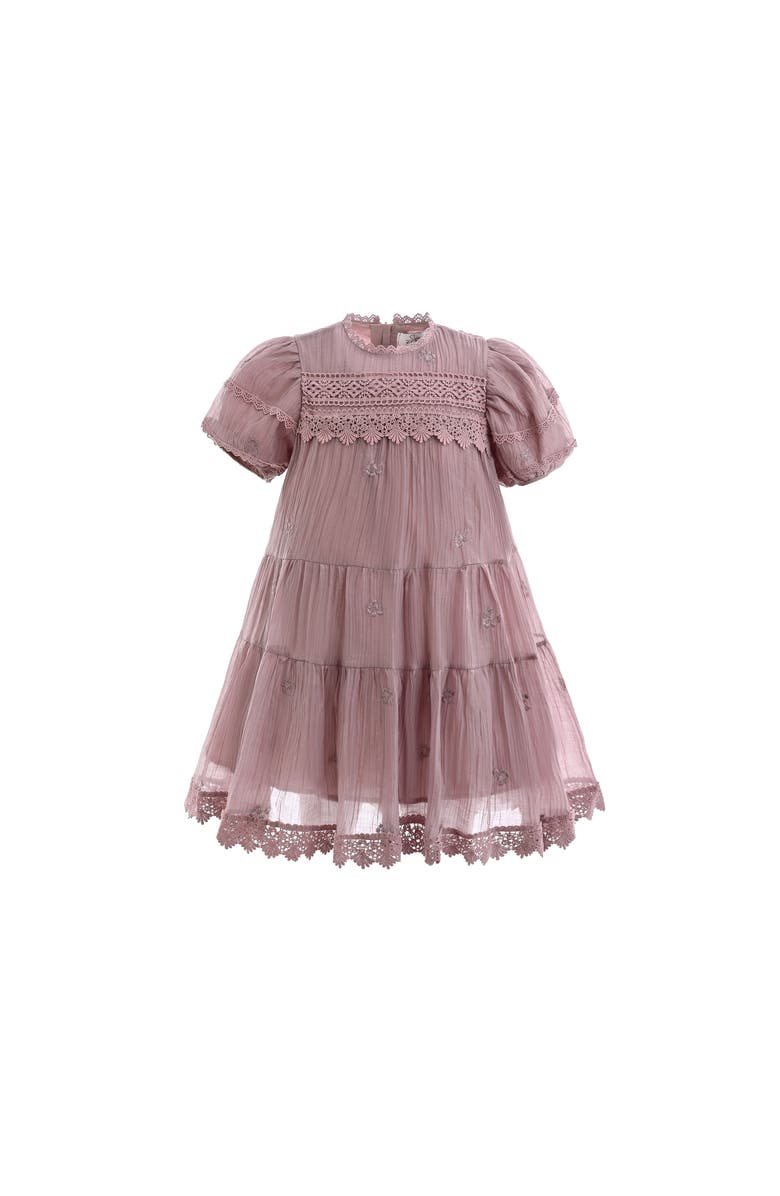 Sweet Cactus Lace Lined Bailey Dress, Alternate, color, Pink