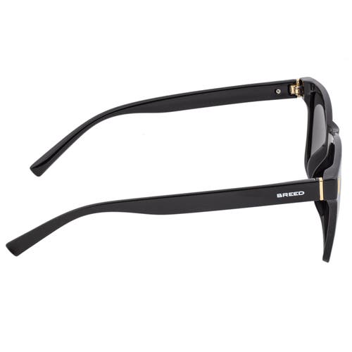 Breed Pictor Polarized Sunglasses In Black/silver