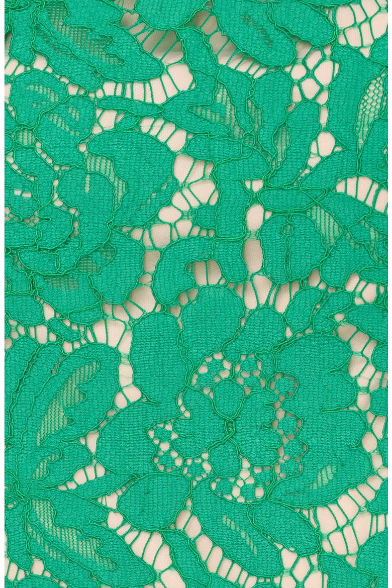 Belted Sleeveless Lace Midi Dress, Alternate, color, BOTANIC GREEN