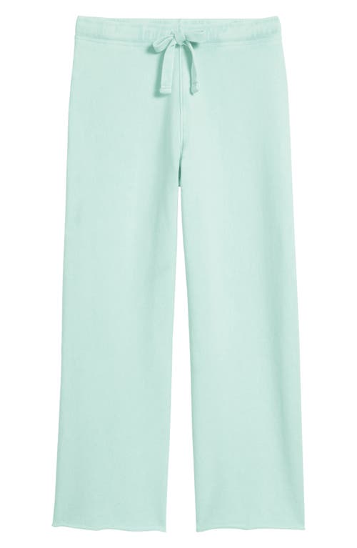 Frank & Eileen Catherine Favorite Sweatpant In Dewberry Mineral Wash In Dewberry Mineral Wash