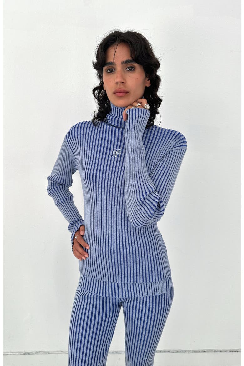 Eija Rib Knit Turtleneck, Alternate, color, Blue / Light Blue
