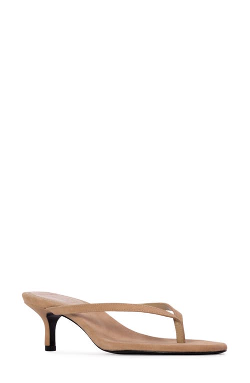 Black Suede Studio Tash Suede Thong Slide Sandals In Sand Suede