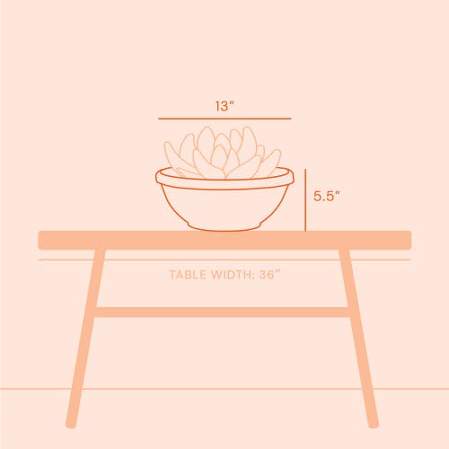Bloem Terra Plant Bowl Planter 14" Black In Black