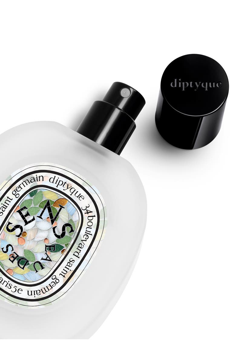 Diptyque Eau des Sens Hair Mist, Alternate, color, 
