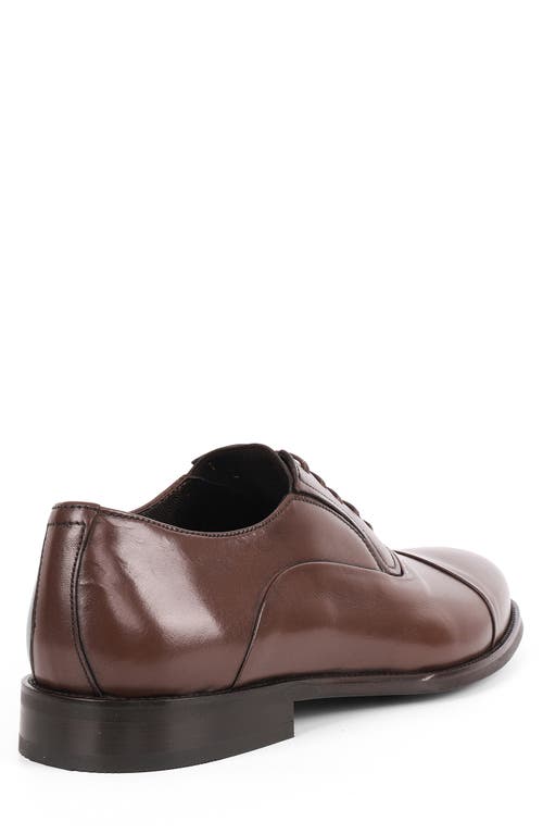Vellapais Otto Oxford In Brown