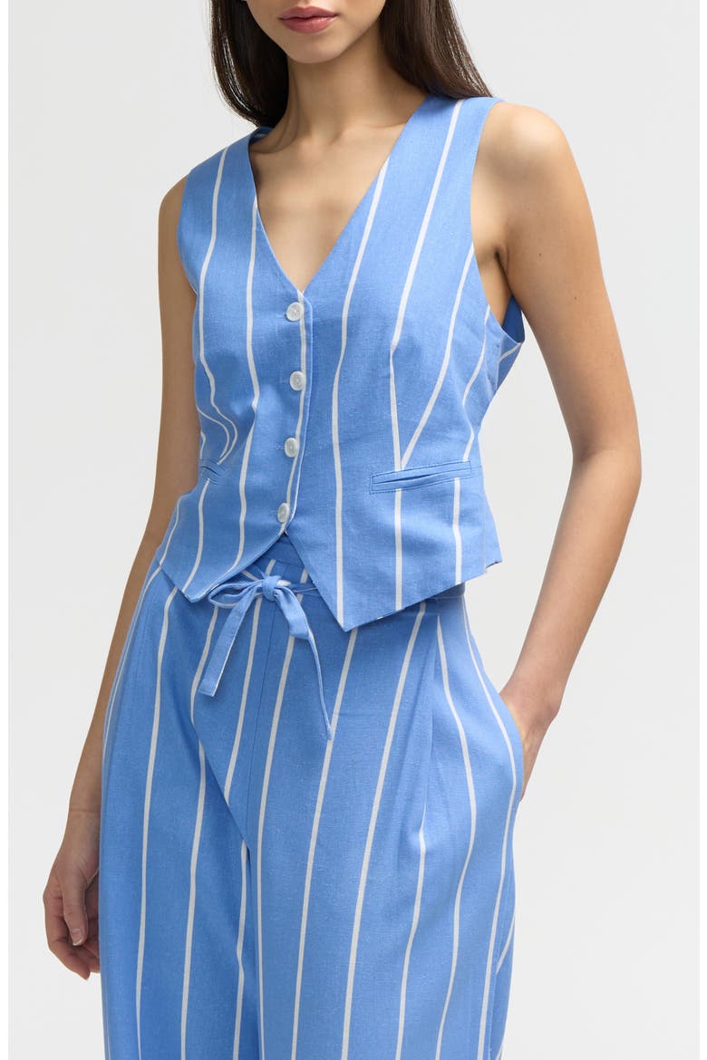 Stripe Vest, Main, color, BLUE/ WHITE STRIPE