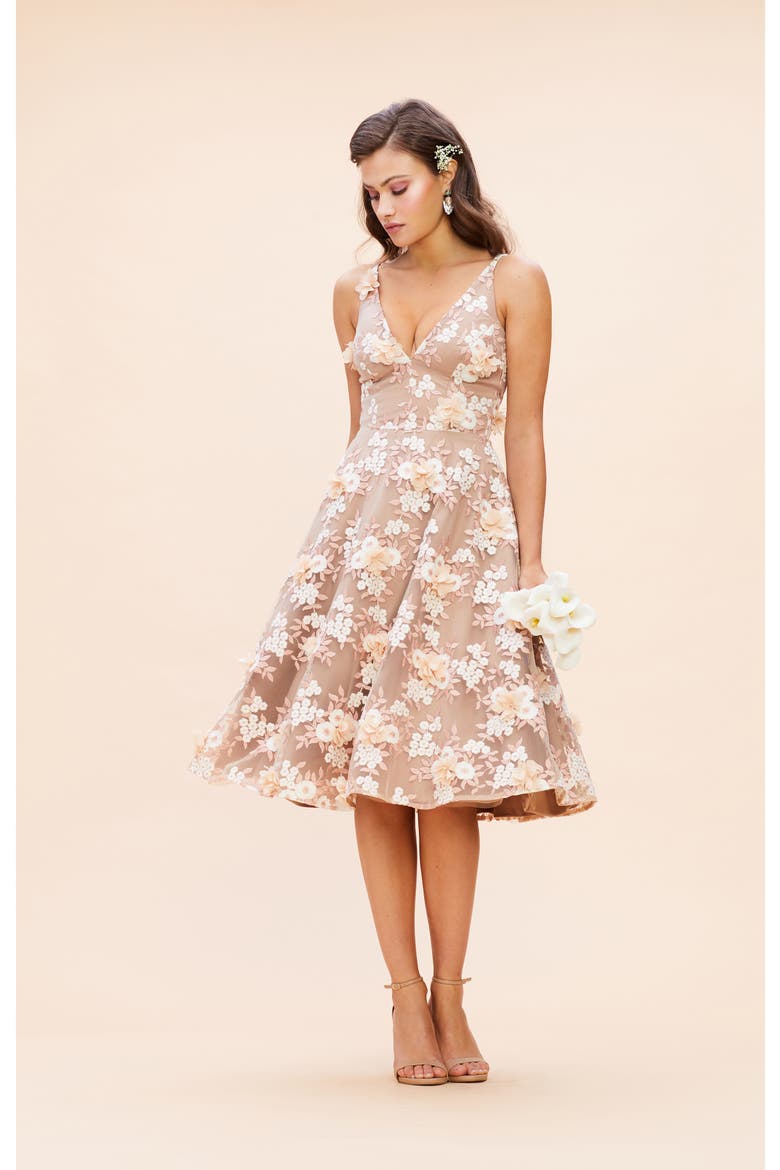 Elisa Floral Appliqué Embroidered Fit & Flare Dress, Alternate, color, DUSTY PINK MULTI