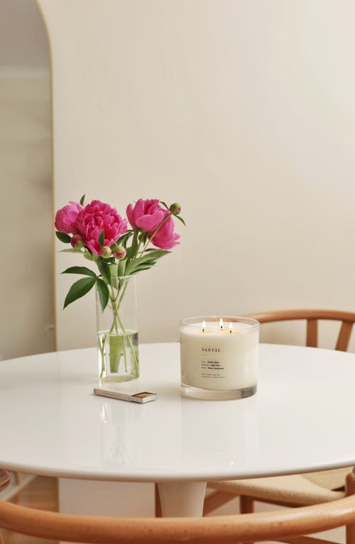 Brooklyn Candle Studio Santal Xl 3-wick Candle In Brown