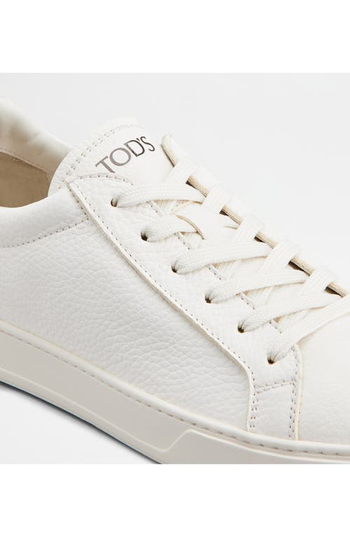 Tod's Sneakers In Bianco Latte