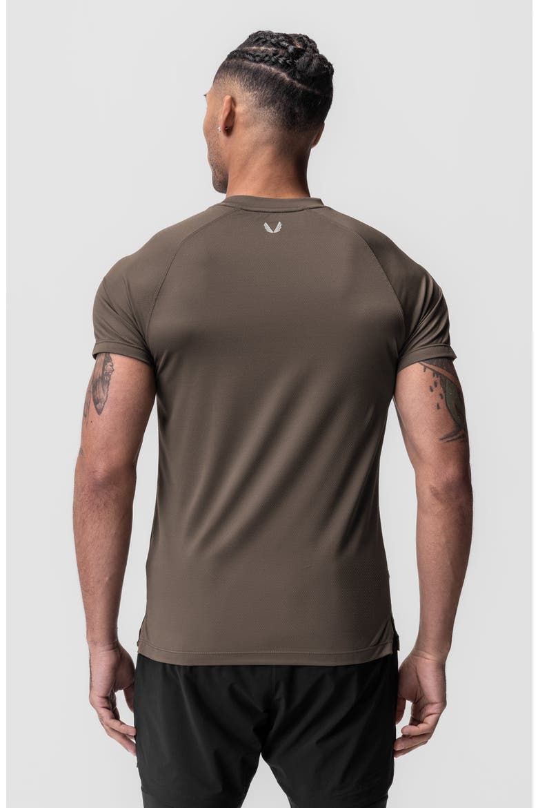 AeroSilver Fitted Tee, Alternate, color, Deep Taupe