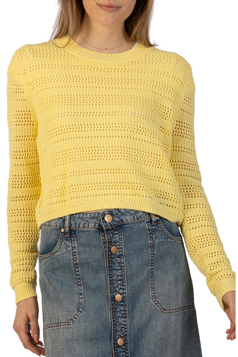 Open Stitch Crop Sweater, Main, color, SUNSHINE