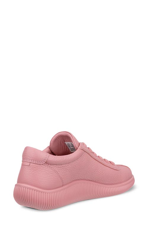 Ecco Soft Zero Sneaker In Pink