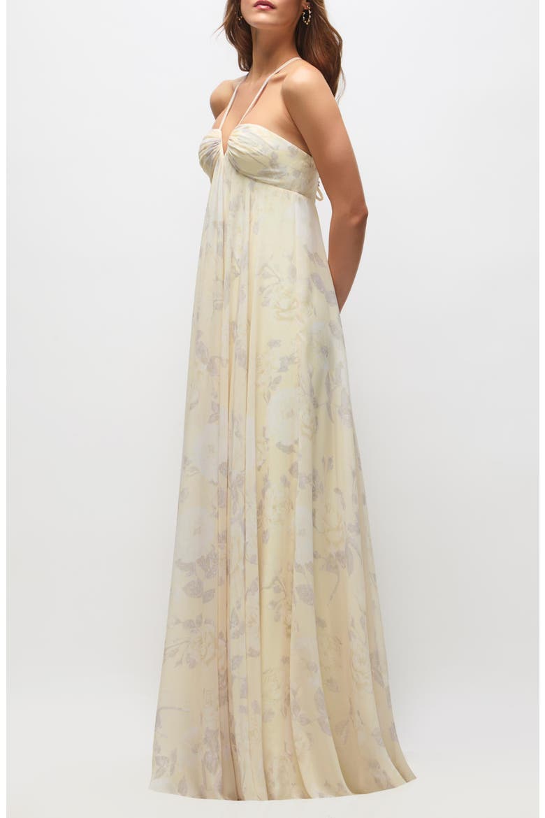 Lilith Floral Chiffon Gown, Alternate, color, BUTTER YELLOW FLORAL