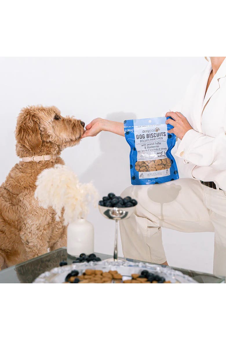 Peanut Butter & Blueberry Dog Biscuits 12oz, Alternate, color, Brown