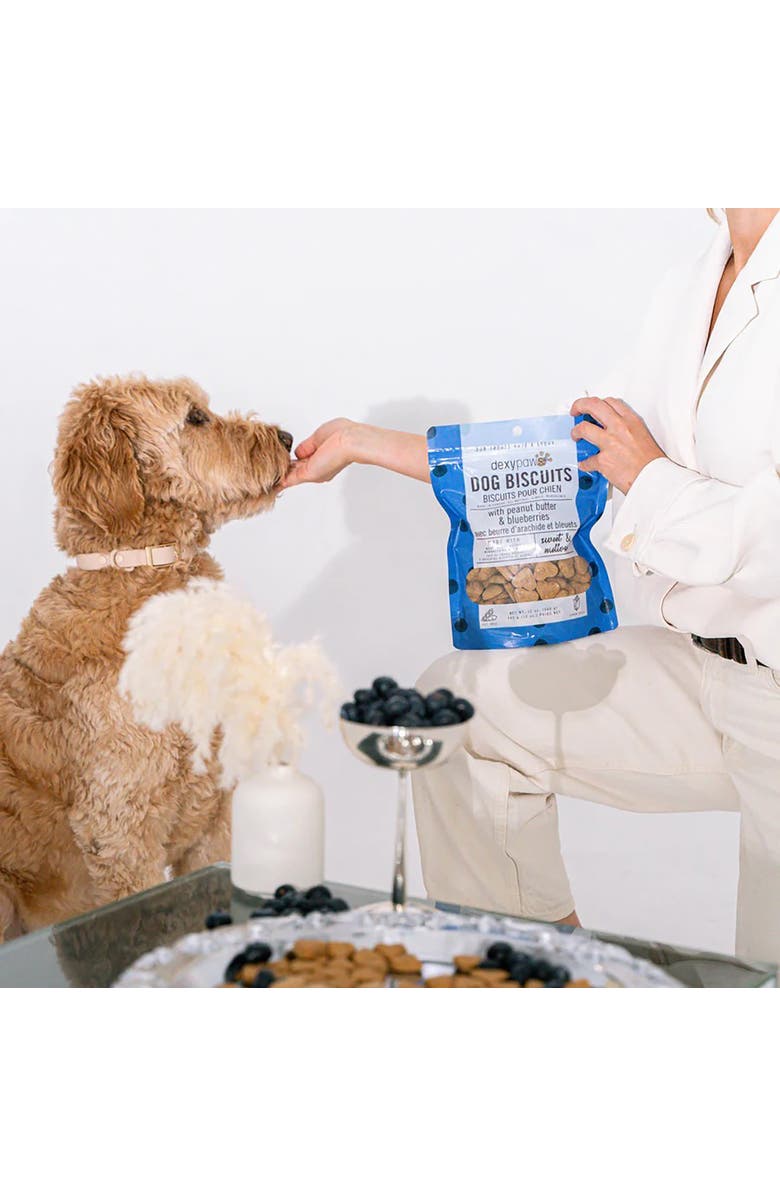 Dexypaws Peanut Butter
Blueberry Dog Biscuits 12oz, Alternate, color, Brown