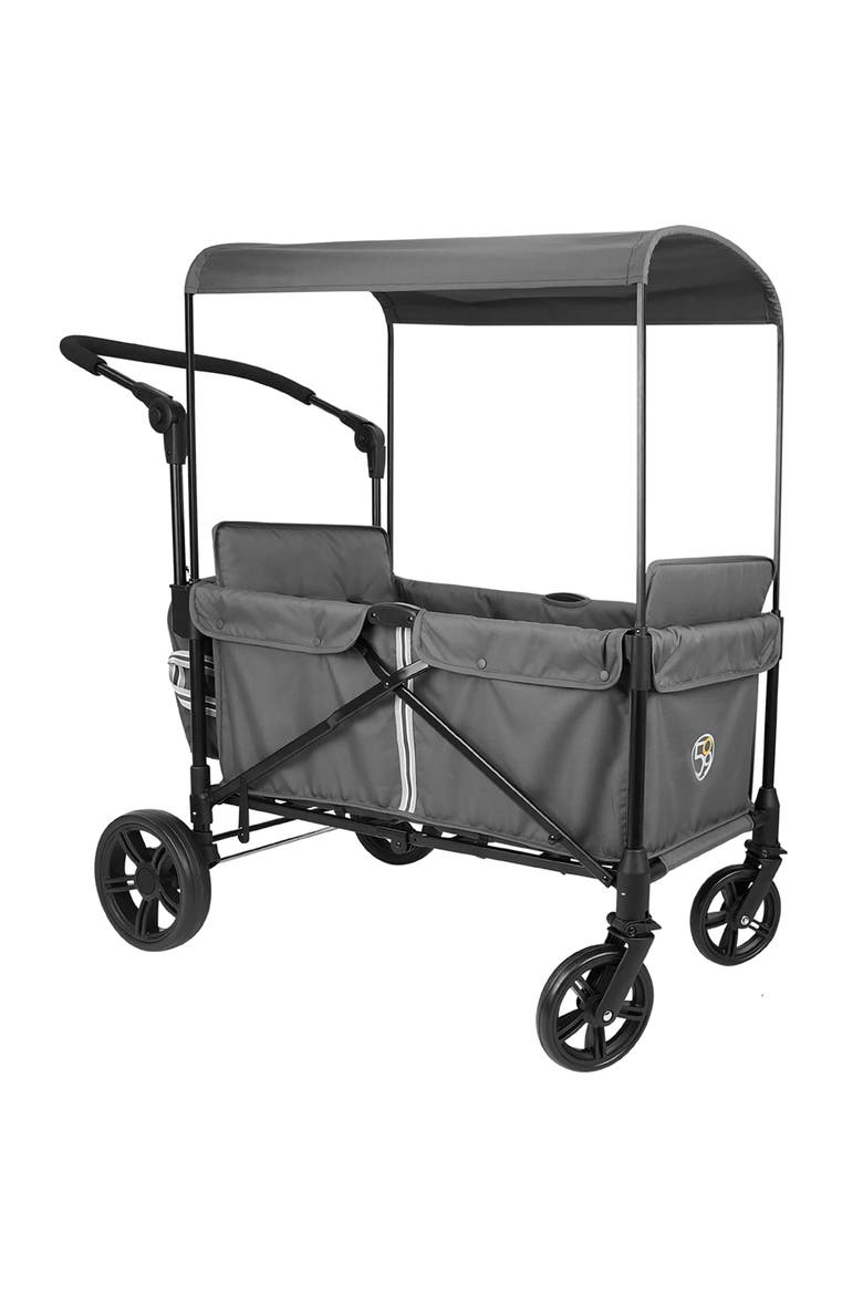 Wag N Stroll Tandem Wagon Push Cart, Main, color, Multicolored