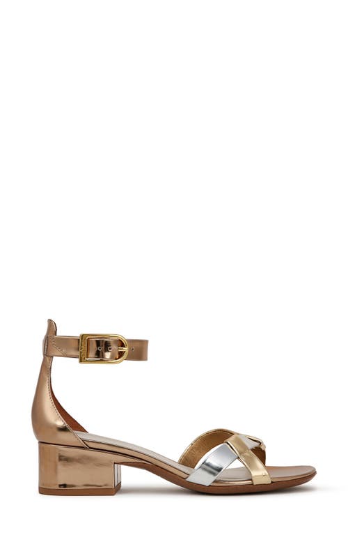 SARTO BY FRANCO SARTO SARTO BY FRANCO SARTO NERISSA ANKLE STRAP SANDAL 