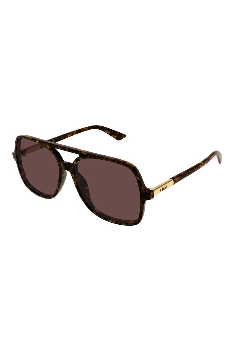 57mm Navigator Sunglasses, Alternate, color, SHINY DARK HAVANA
