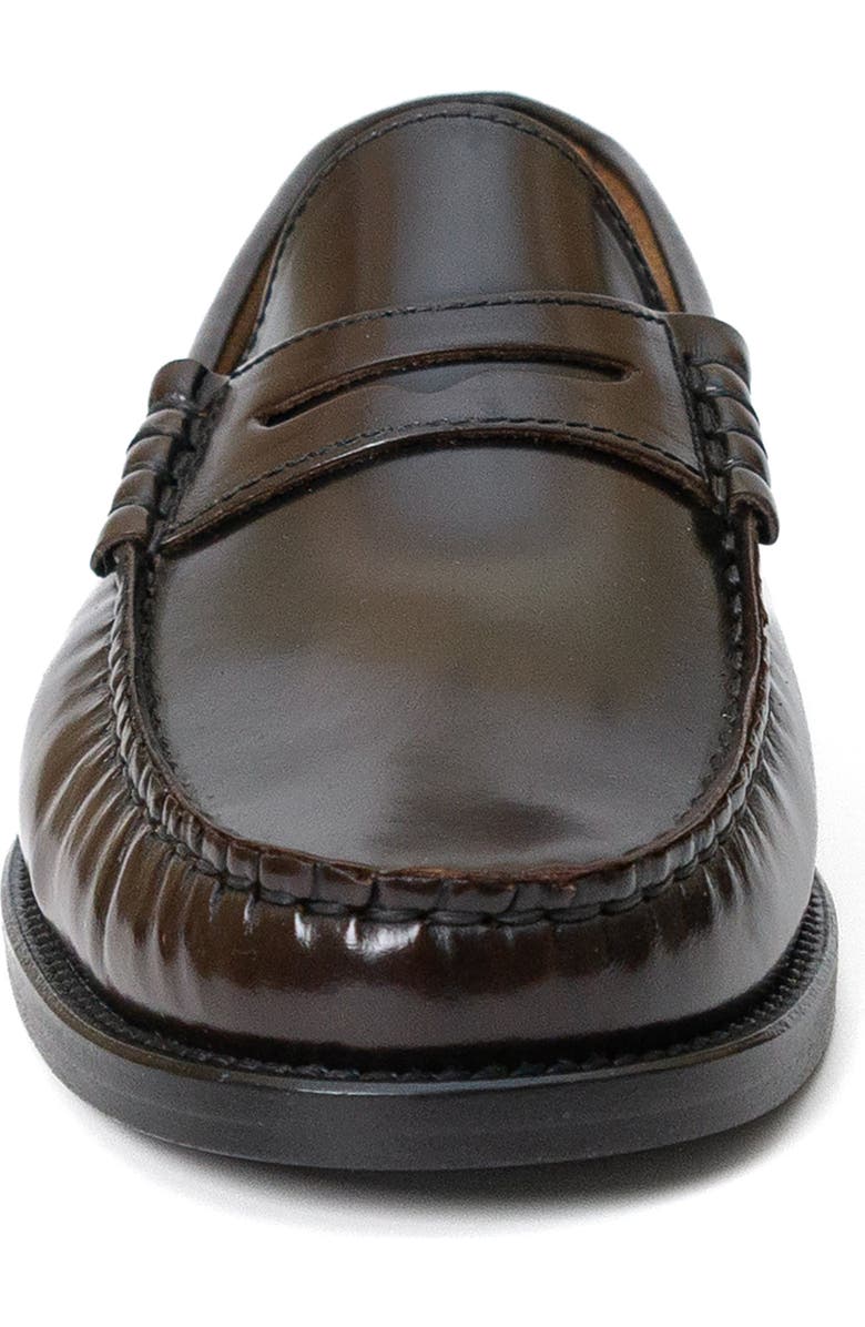 Menina Step Mila Leather Penny Loafer, Alternate, color, Dark Brown