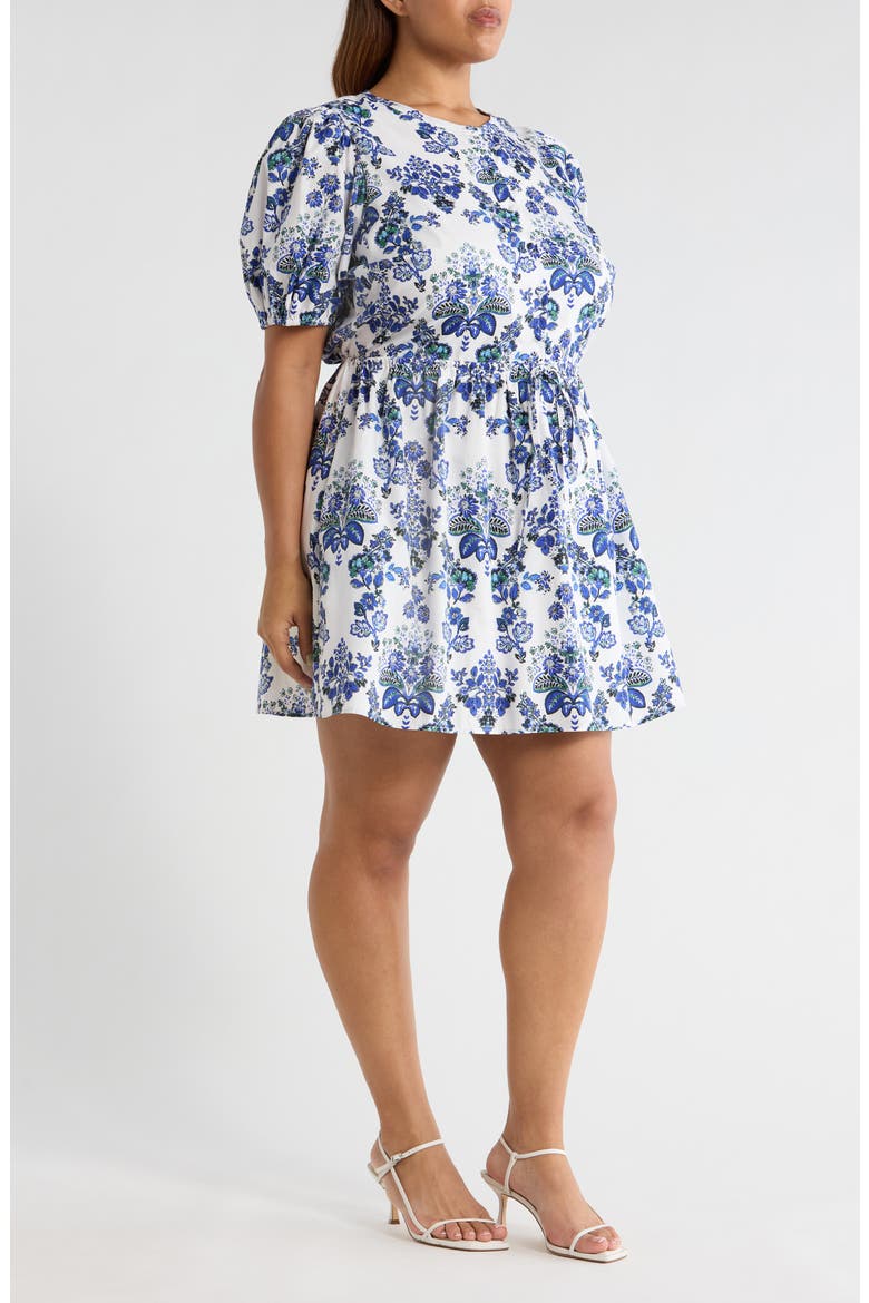 Viara Floral Alba Drawstring Waist Cotton Minidress, Alternate, color, BLUE-WHTE