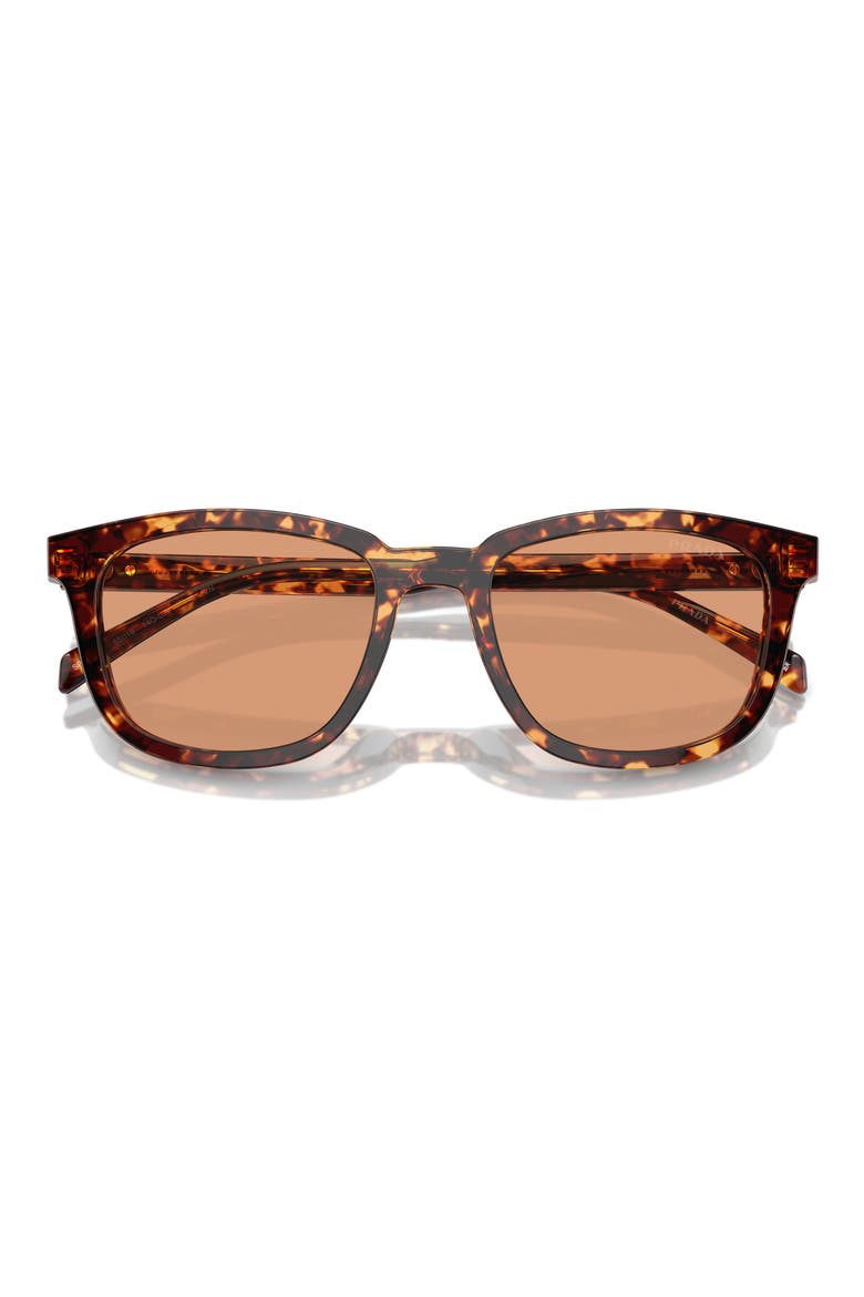 55mm Pillow Sunglasses, Alternate, color, HAVANA/ ORANGE