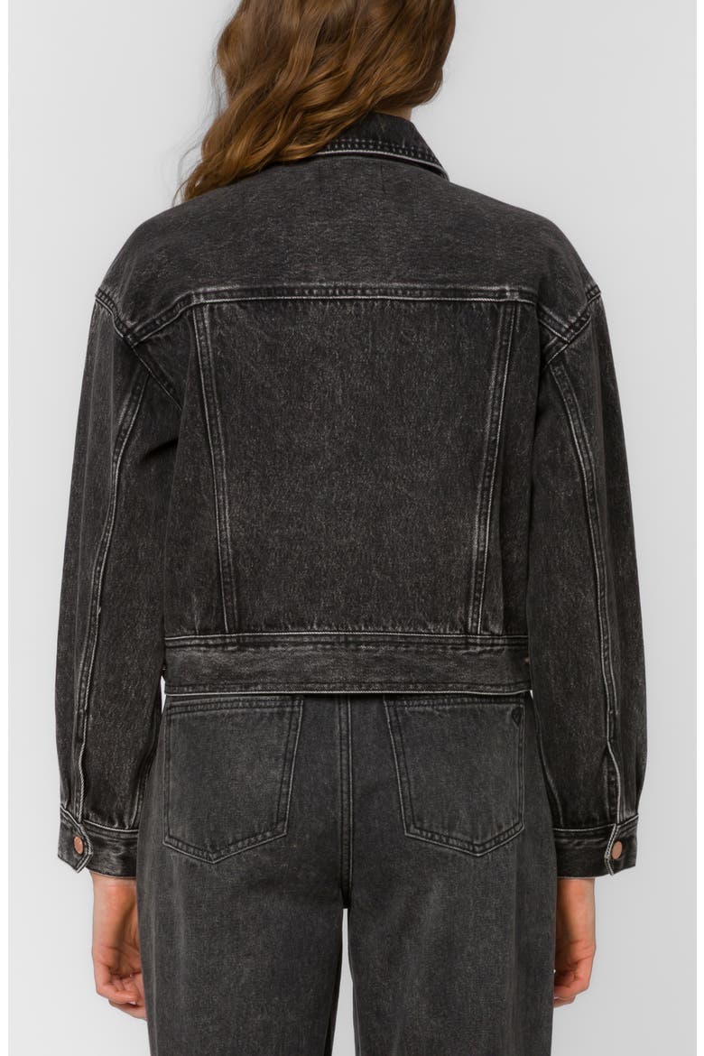 Dion Crop Denim Jacket, Alternate, color, FADED BLAC