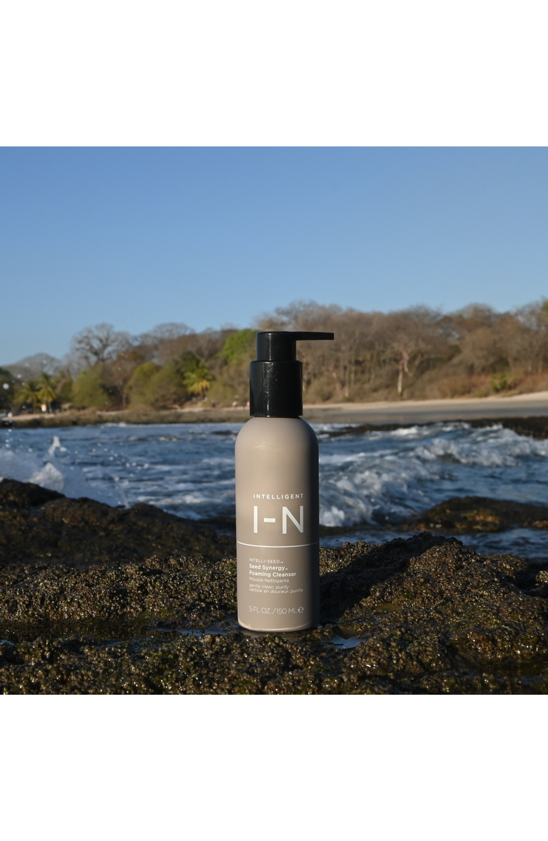 Intelligent Nutrients Seed Synergy Foaming Cleanser, Alternate, color, NO COLOR
