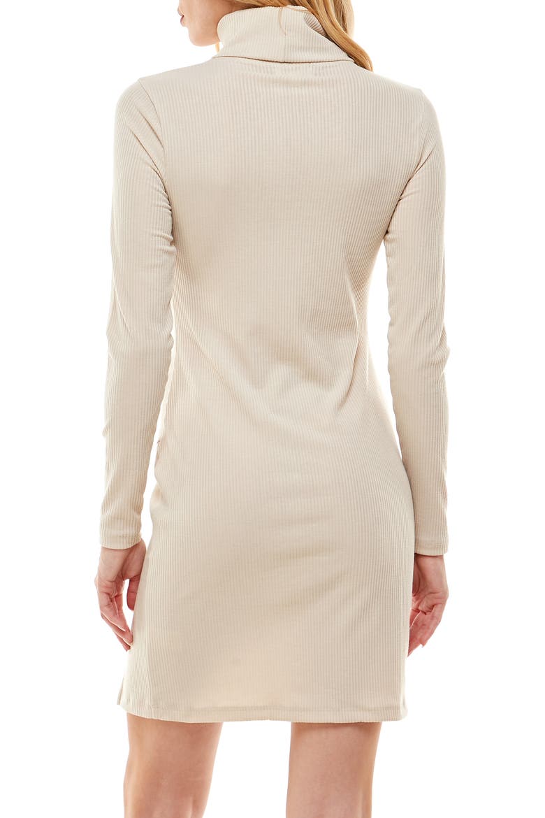 Long Sleeve Turtleneck Minidress, Alternate, color, SEASHELL