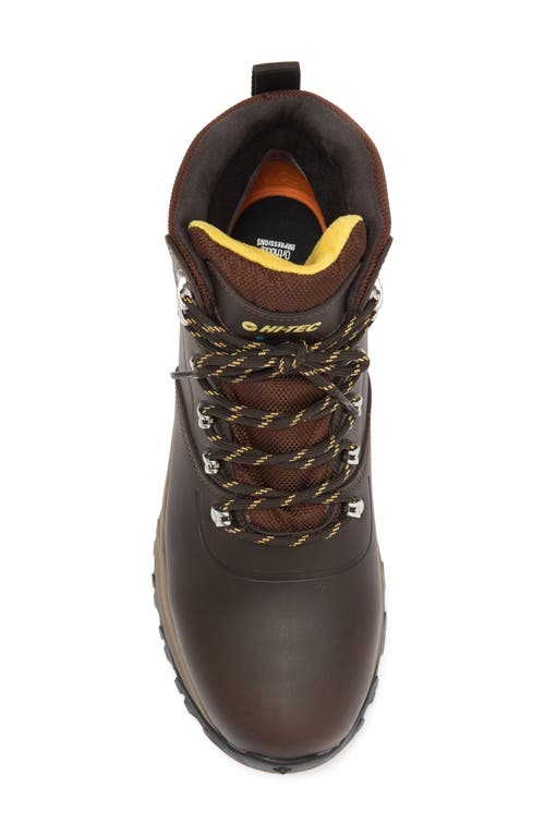 Hi-tec Altitude Vi I Waterproof Hiking Boot In Dark Brown