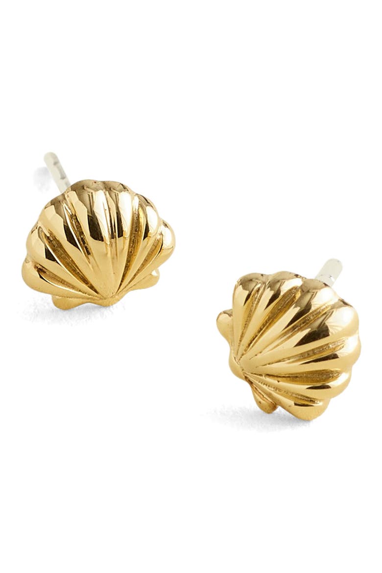 Demi-Fine Shell Stud Earrings, Main, color, 14K GOLD