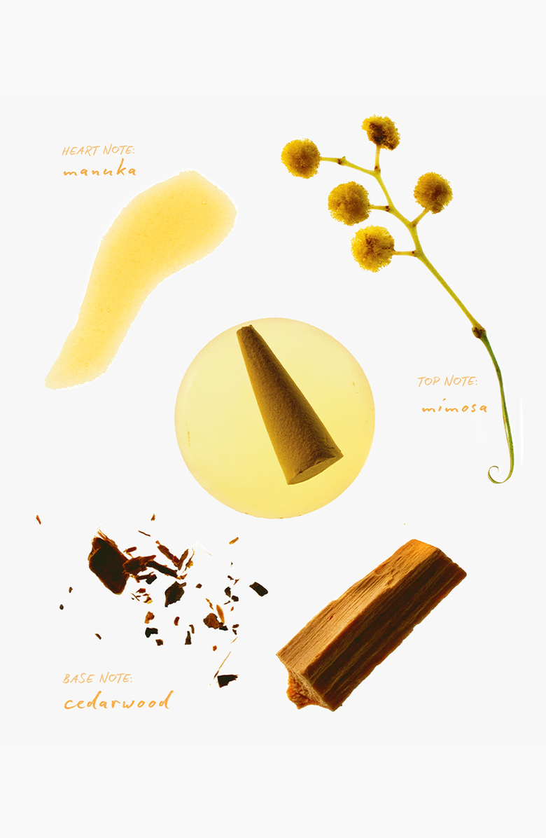 ripple⁺ home Mimosa Del Sol Incense Cones, Alternate, color, 