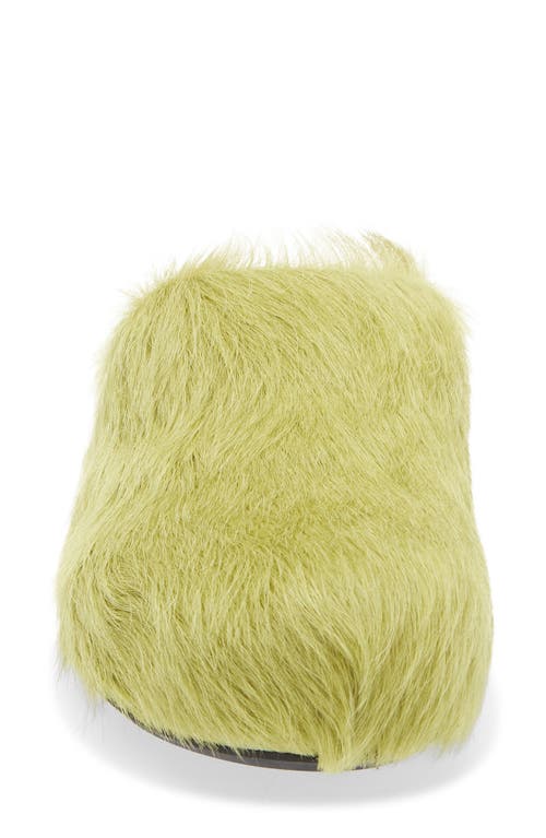 Marni Fussbett Sabot Genuine Calf Hair Clog In Multi