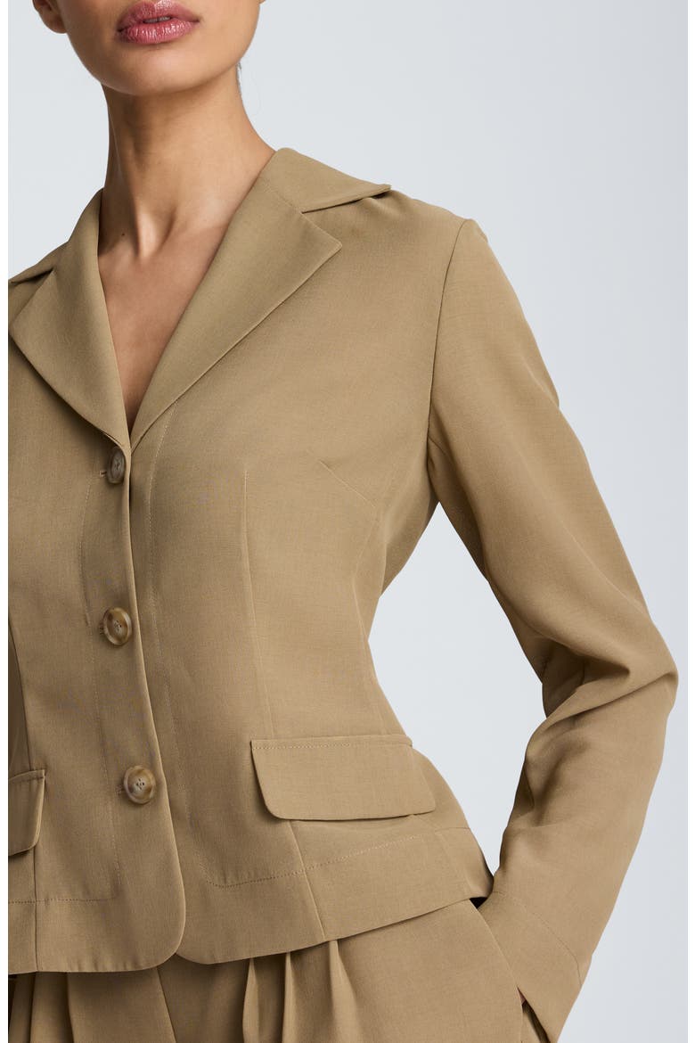 Slim Fit Blazer, Alternate, color, MOSS TAUPE