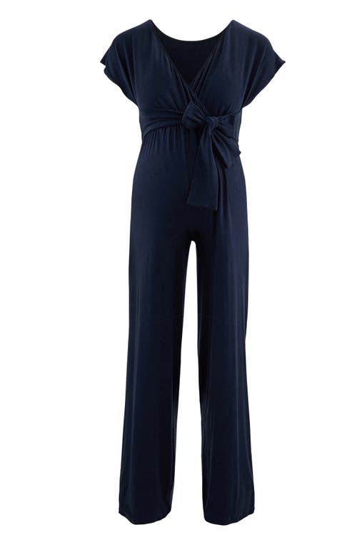 Cache Coeur Origin Pregnancy And Nursing Jumpsuit In Blue