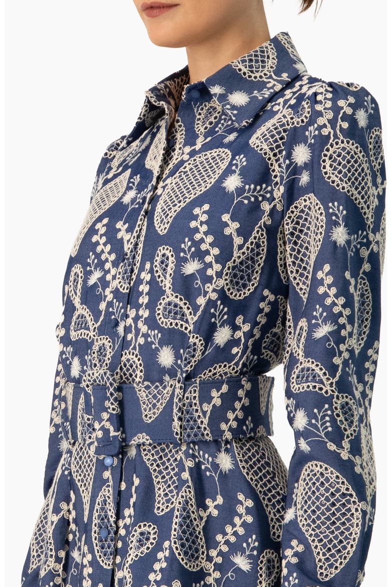 Long Sleeve A-Line Dress with Floral Embroidery, Alternate, color, Blue
