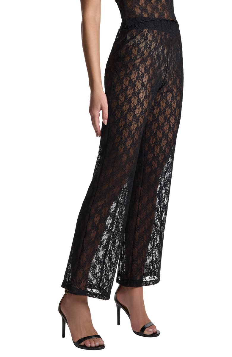 Hanky Panky Alina Sheer Lace Tap Pants, Alternate, color,