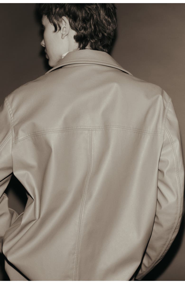 H&M Coated Jacket, Alternate, color, Dark Beige