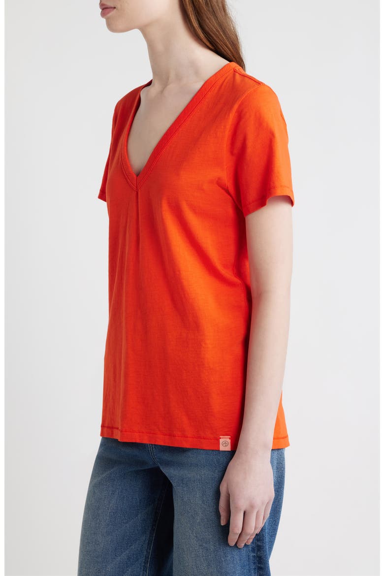 The Slub V-Neck T-Shirt, Alternate, color, BT RED