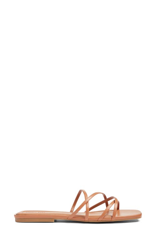 Open Edit Korva Slide Sandal In Tan Cashew