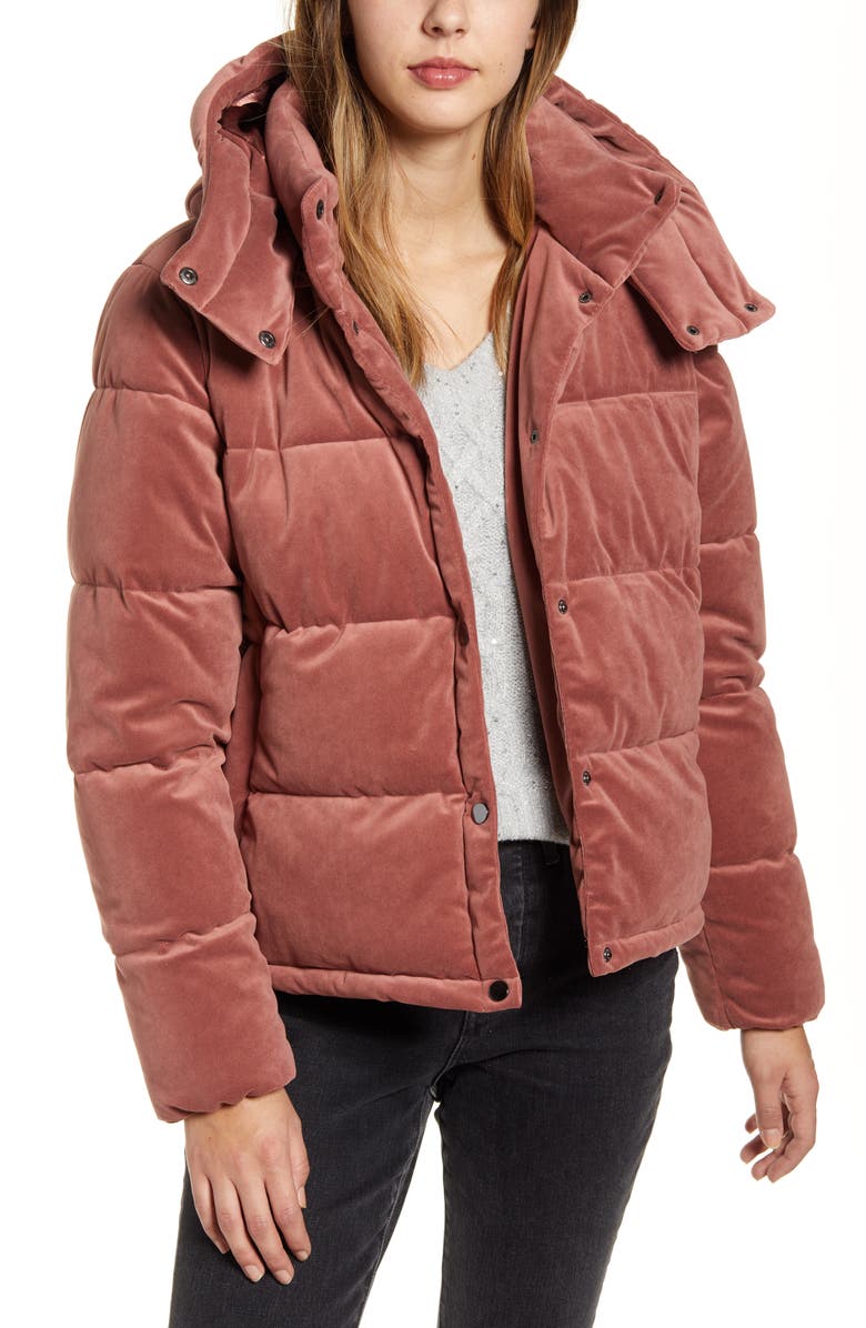 Rachel Parcell Velvet Puffer Coat, Main, color, 