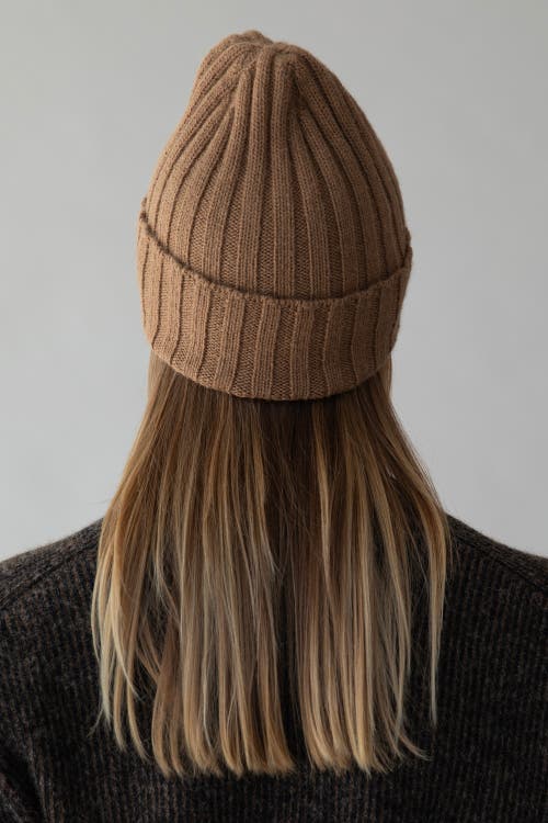 Sskein Ribbed Beanie In Brown