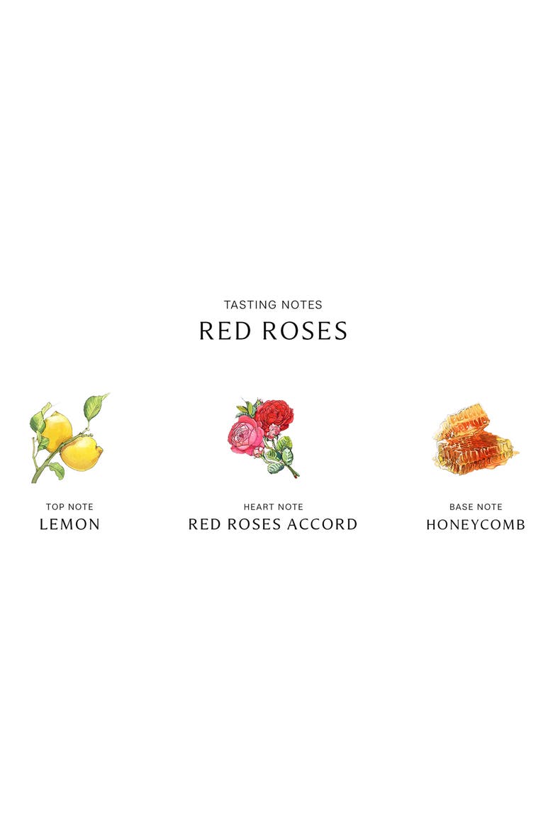 Red Roses Cologne, Alternate, color, NO COLOR