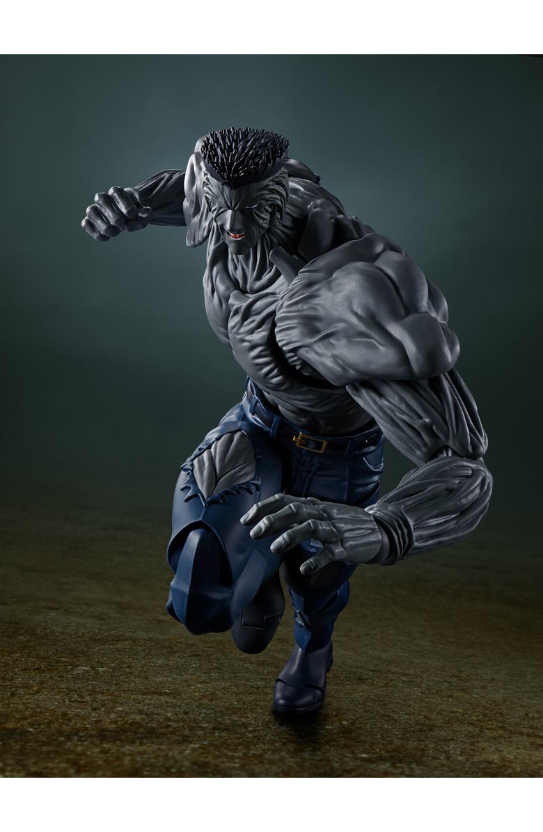 Bandai Yu Yu Hakusho - Younger Toguro 100%, Alternate, color, Multicolor