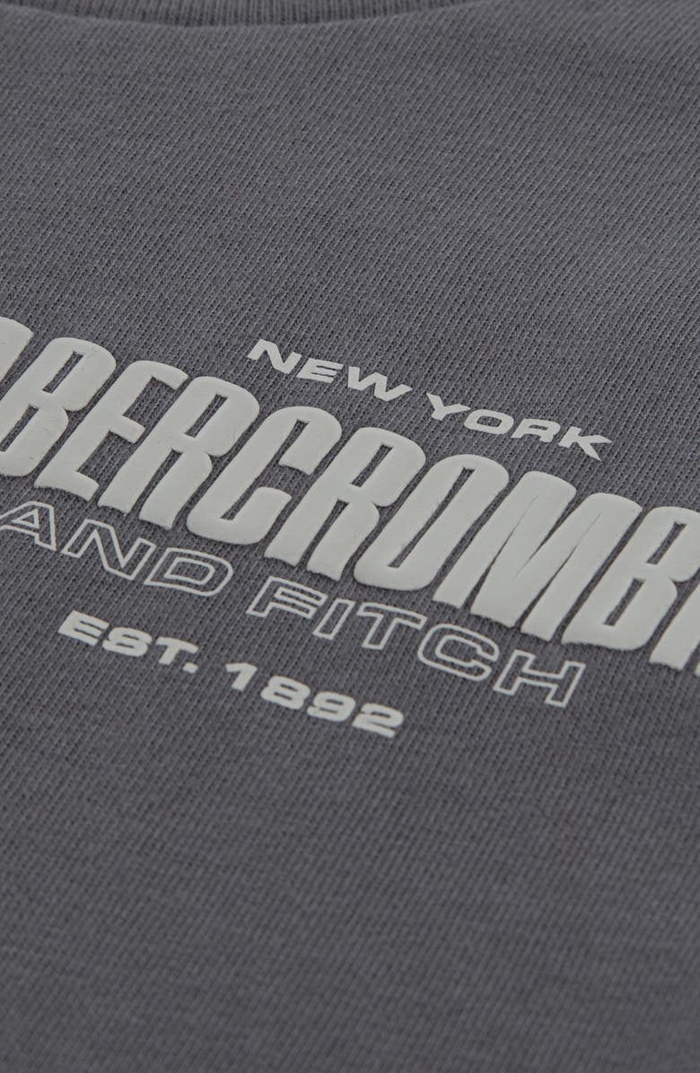 abercrombie kids Kids' 1892 Logo Boxy Graphic T-Shirt, Alternate, color, Castlerock