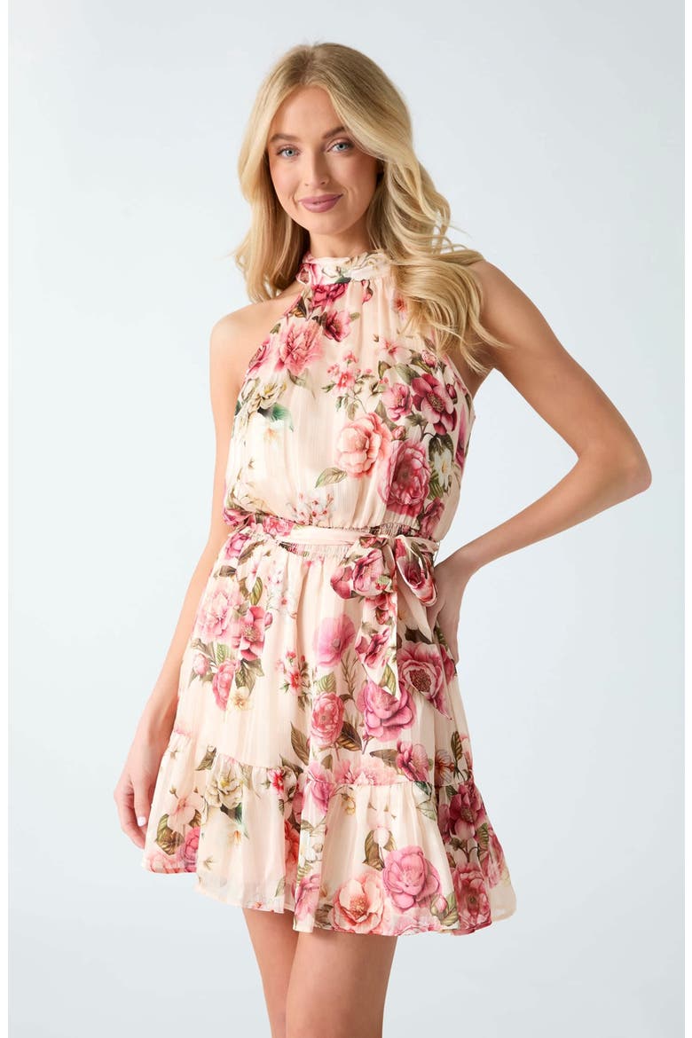 Daniele Floral Print Sleeveless Mindress, Alternate, color, FLORAL PINK
