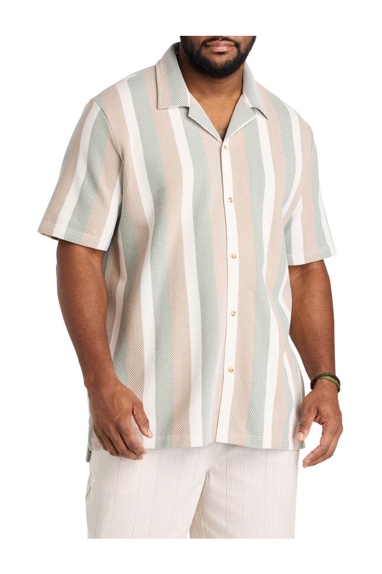 Big & Tall Textured Stripe Button-Front Polo Shirt, Alternate, color, NATURAL