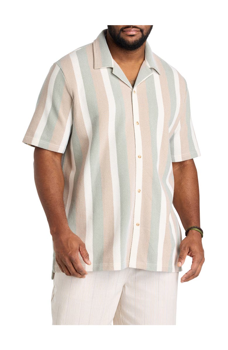 Nautica Big & Tall Textured Stripe Button-Front Polo Shirt, Alternate, color, Natural